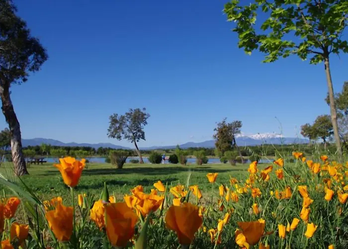 Hotel Brit Porte D'espagne